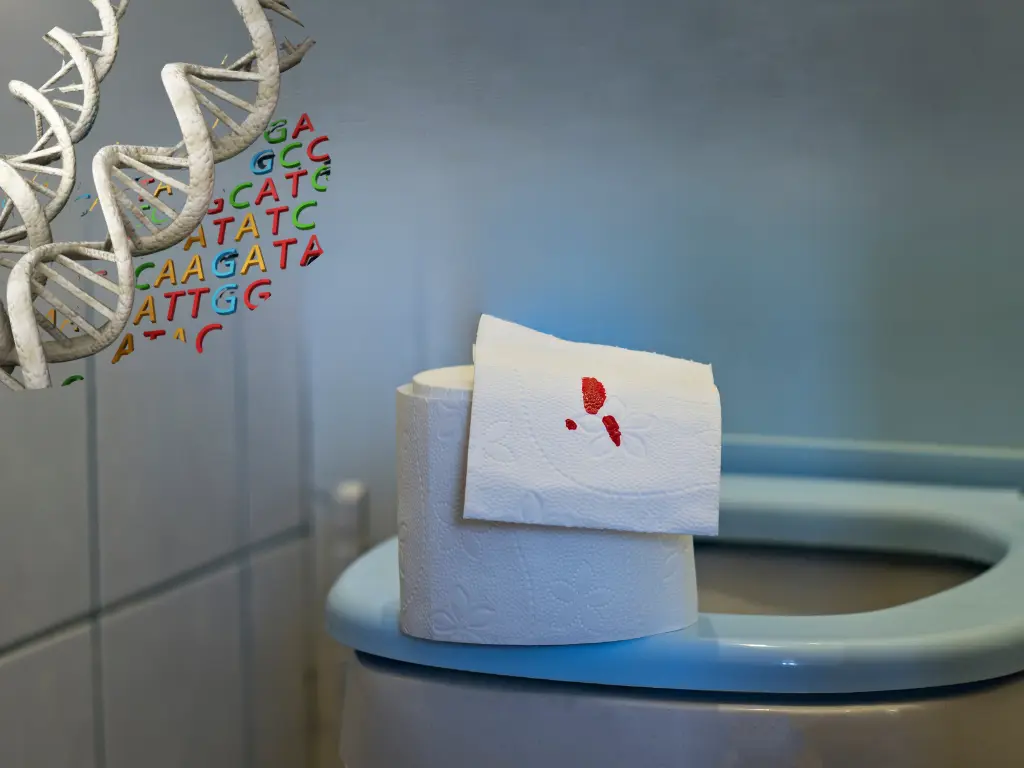 Toilet Paper Placed on a toilet seat with a red bloody dot on it possibly from hemorrhoids