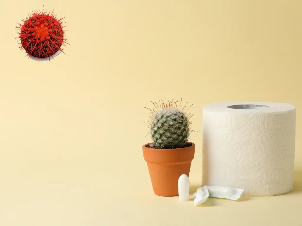 A toilet paper and a cactus with torn signalling pain from hemorrhoids and how to treat them naturally